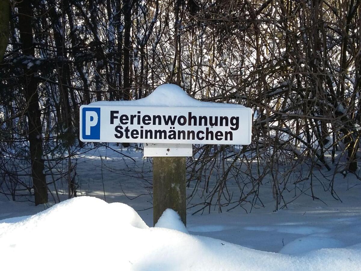 Steinmaennchen Ferienwohnung 戈斯拉尔 外观 照片